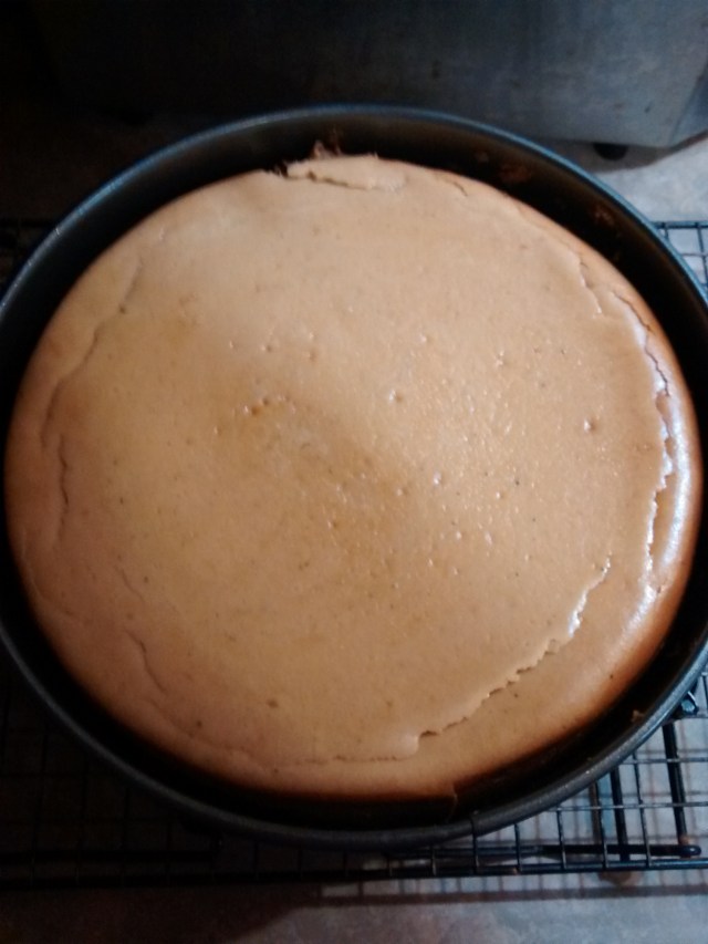 pecan pie cheesecake just baked